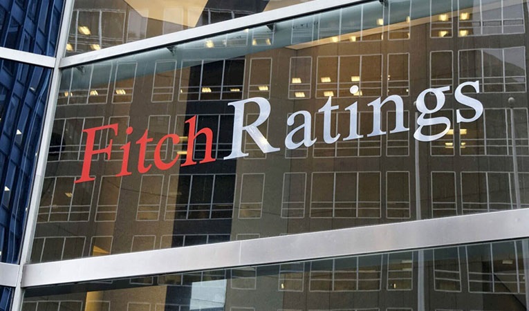 Fitch Ratings Bankalar Direktörü, Türk bankaları değerlendirdi