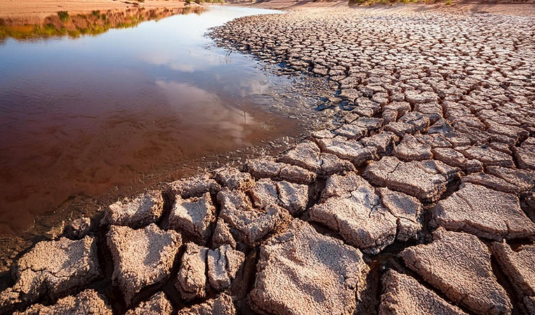 Dünya Bankası’ndan Türkiye’ye 600 milyon dolarlık kuraklık desteği