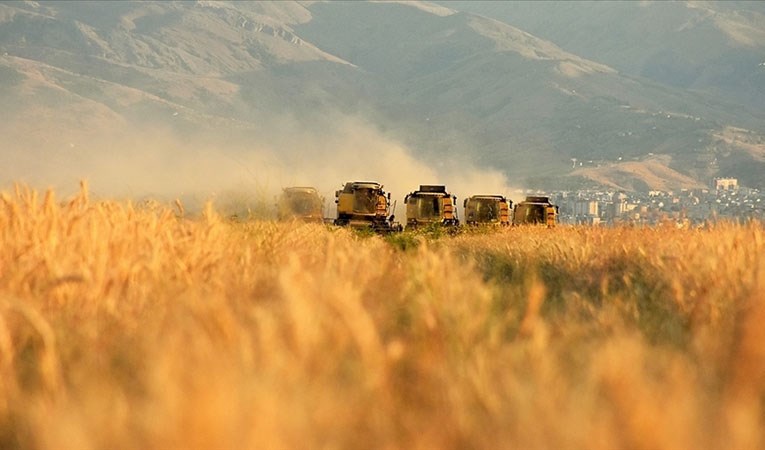 Tarımsal girdi fiyat endeksi mayısta yükseldi
