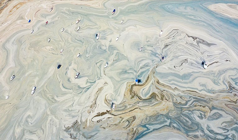 Marmara'ya pilot bölgelerde oksijen desteği verilecek 