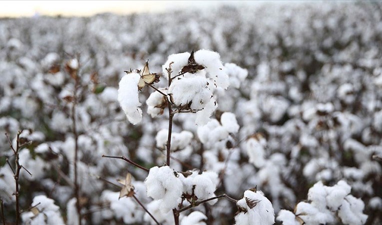 Emtia piyasasında yılın son haftasında en çok değer kazanan ürün