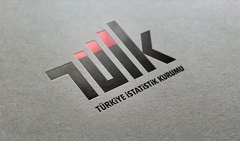 TÜİK Hazine ve Maliye Bakanlığı'ndan ayrıldı, ilişkili kuruluş oldu