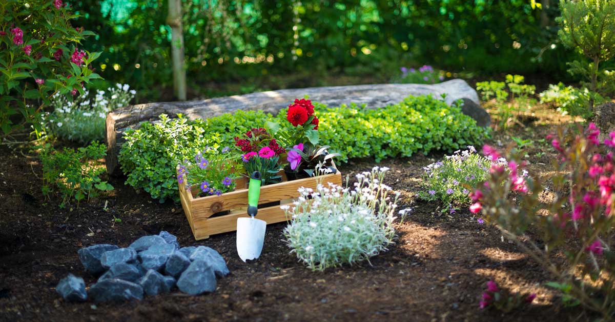 Nisan ayında bahçede ne yapmalı? Madde madde bahçe bakımı Haberi