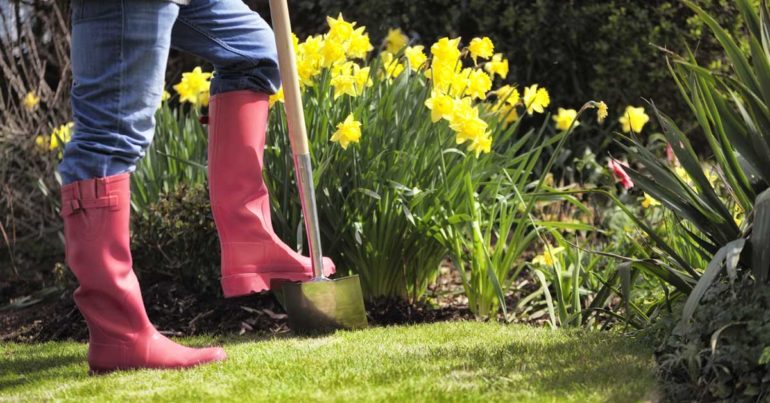 Haber kapak görseli