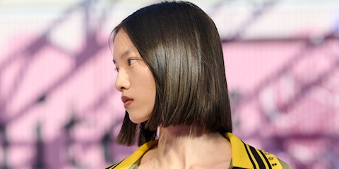 Güzellikten Bağışıklığa Ginsengin Çok Yönlü Etkileri