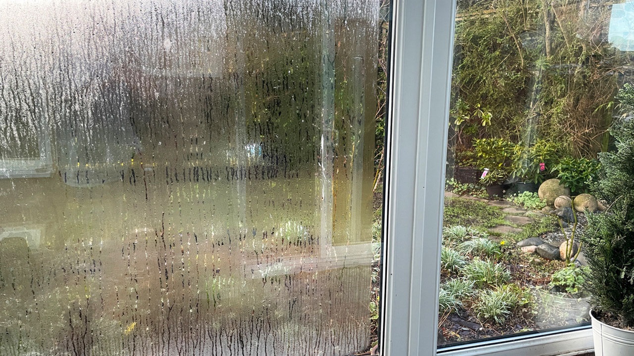 Evinizdeki yüksek nem: 5 belirti ve çözüm yolları Haberi