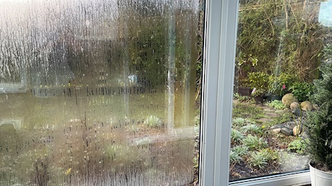 Evinizdeki yüksek nem: 5 belirti ve çözüm yolları